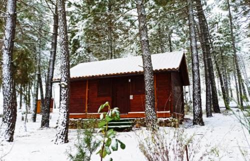 Riopar House | La cabaña de Magui