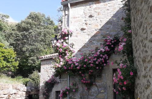 Solana de Avila House | La Laguna