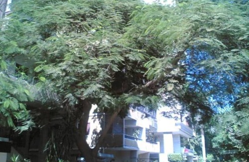 Al Duqqi Apartment | Lovely Fully Equipped 1BR Flat in Best Location.