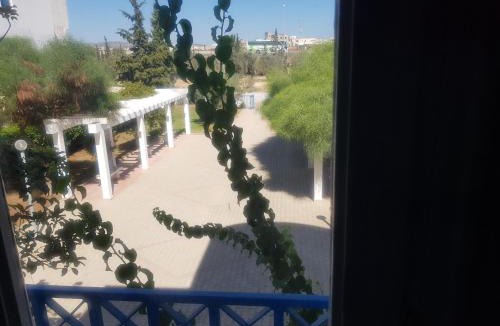 Hammamet Sud Apartment | Luxurious and pleasant apartment in Hammamet