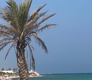 Mrezga Apartment | Luxury Hammamet