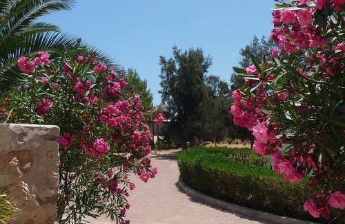 Sedouikech House | Luxury villa in olive grove on 2 ha and large swimming pool