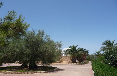 Sedouikech House | Luxury villa in olive grove on 2 ha and large swimming pool