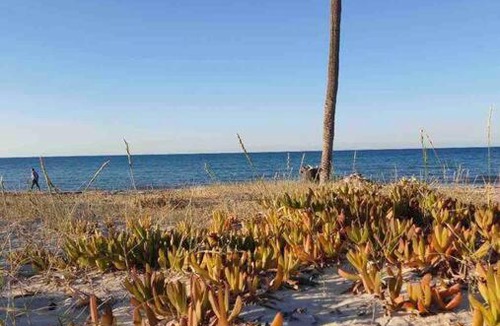 Mezraia Villa | Maison Mennana à 5 min à pieds de la plage Ulysse