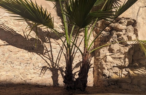 Medina de Sousse House | Medina town house