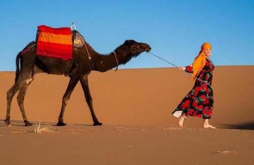 Taouz Hotel | Merzouga Stars Luxury Camp