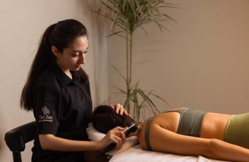 Aswan Resort | MGM Wellness Clinic
