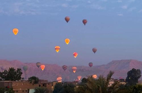 Luxor Apartment | nile shores hotel