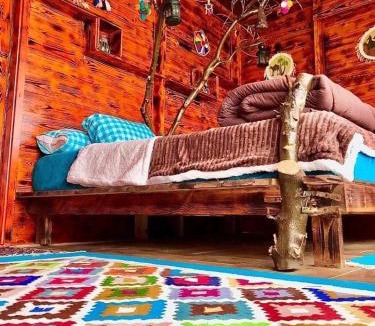 Siwa Cabin | No name