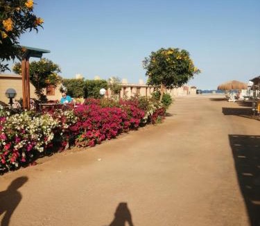 Al Mamsha El Seyahi Apartment | North side suites Egypt Hurghada