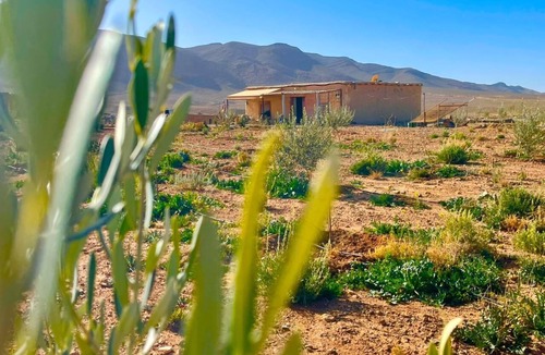 Gourrama RV Rental | Olecactus