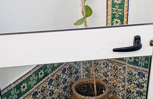 El Hafsia Apartment | Private furnished air-conditioned room