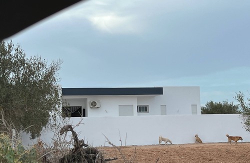 Houmt Souk House | Quiet family villa