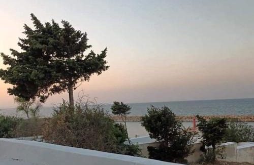 Hergla Apartment | Residence les Jasmins