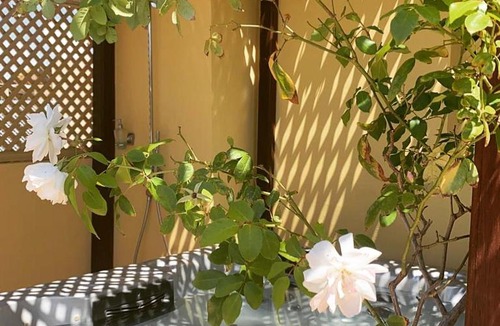 Riad Zitoun Jdid House | Riad Akka