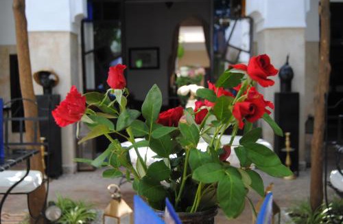 Sidi Bou Amar House | Riad dar Ourika & SPA