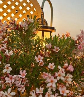 Mouassine House | Riad Zouhour