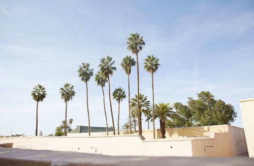 Riad Zitoun Jdid House | Rosa Bahia a cozy nest in the heart of Marrakech