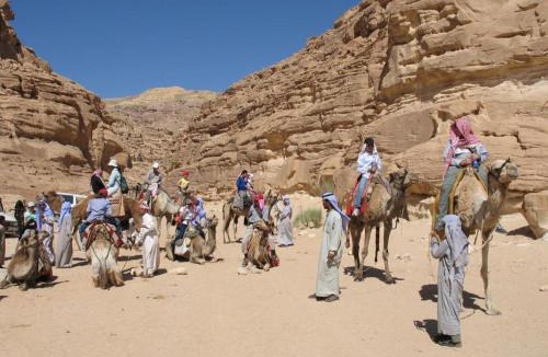 St. Catherine Other | Saint Catherine Camp & Lodge - Moses Mountain Sinai Tours