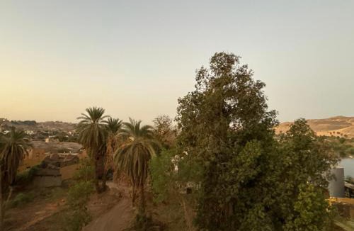 Aswan Hostel | Seko Kato Nile View Hostel