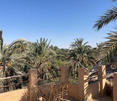 Siwa House | Shamofs art garden