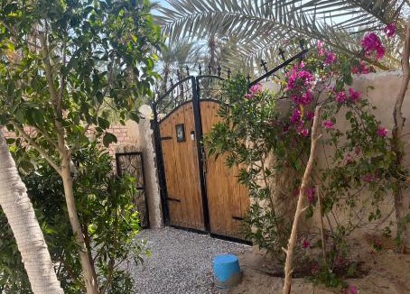 Siwa Apartment | Siwa Spot - Authentic Siwan Room with Private Patio
