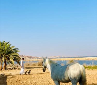 Siwa Hotel | Soléi Royale