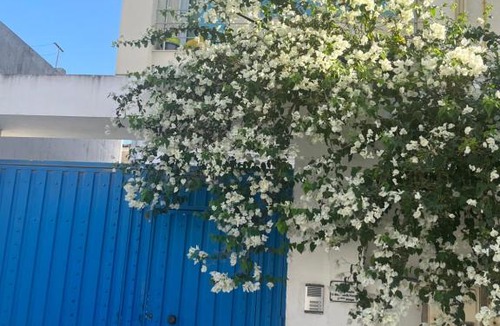 Khaznadar Apartment | Sublime duplex au Bardo Tunis