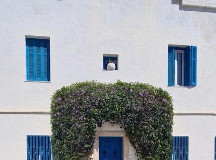 Sidi Bou Said Apartment | The Al Hamra Carthage Suite with Terrace