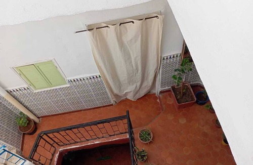 Tlemcen House | The bird house