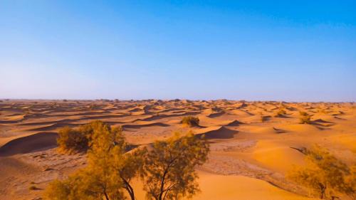 M'Hamid El Ghizlane Other | Trek Plan Camp