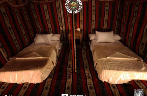 Siwa Other | Tulip Camp Siwa Oasis