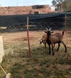 Ahl Angad Apartment | Une très belle ferme juste magnifique