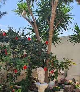 Sidi Daoud Villa | Villa Carthagene /Jacuzzi -swimingpool- Billard