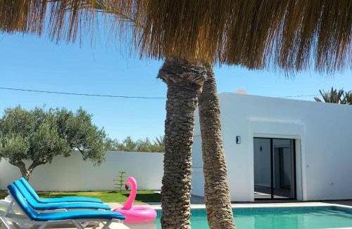 Tunis House | Villa de luxe avec piscine privée à Tezdainne, Djerba