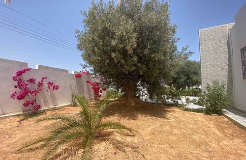 Arkou Villa | Villa Djerba Midoun 100% unopposed