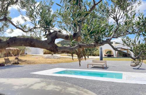 Hammam Bent Djedidi Villa | Villa in the mountains Hammamet