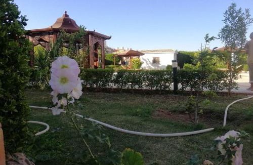 Village Road Villa | Villa , Mubarak 6, close to Magawish
