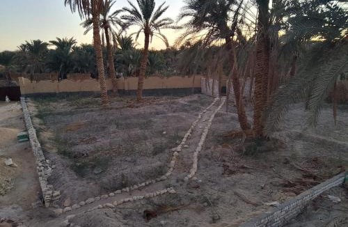 Tanta Villa | Villa Rumi Siwa