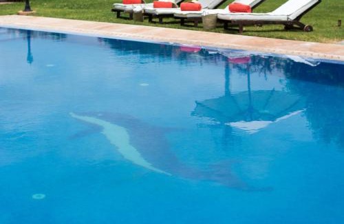 Sidi Abdallah Ghiat Villa | Villas Fleurs Marrakech