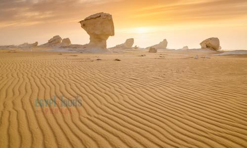 Bawati Other | white and black desert