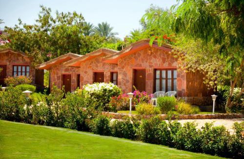 El Hadaba Resort | Xperience Hill-Top Beach Resort - Adults Only