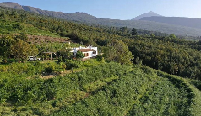 Casa La Jara, located in the middle of nature for country lovers. in La Orotava