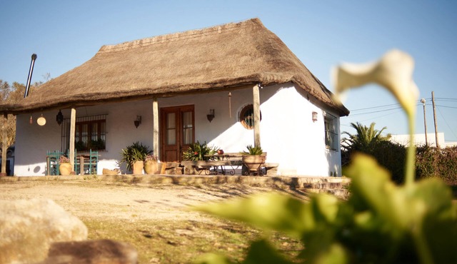 Charming country house in ARBOLADA and quiet area in Jerez de la Frontera