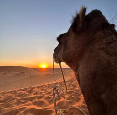 Desert