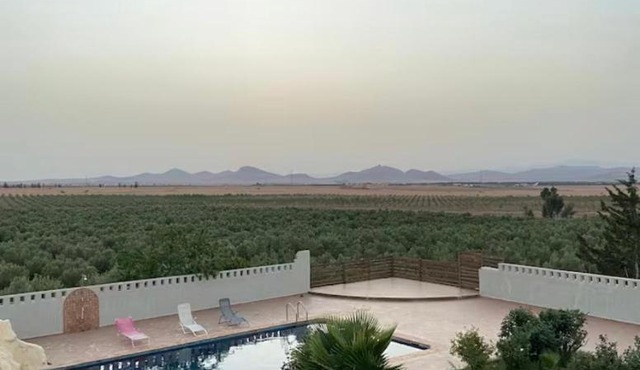 Ferme Paradiso, Route de Jerada, Sidi Moussa Lemhaya, Oujda