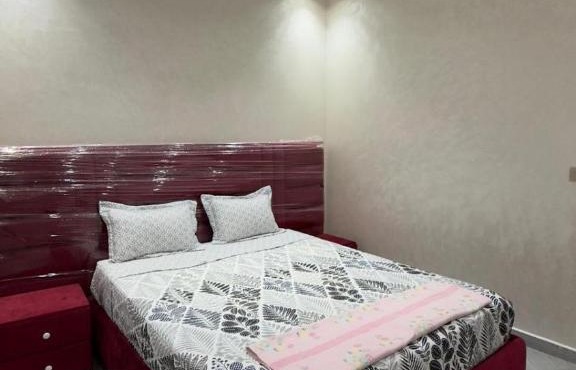 Grand appartement meublé