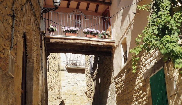 Homerez - Charming House in Orés in Orés