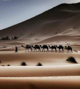 Hotel Dar Sahara