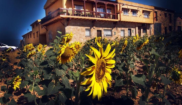 La Antigua Vaquería in Cuenca